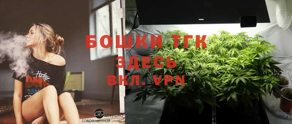 PSILOCYBIN Семикаракорск